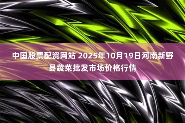 中国股票配资网站 2025年10月19日河南新野县蔬菜批发市场价格行情